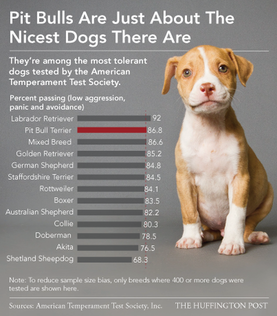 Rationale - Stop Animal Cruelty with Pit Bulls